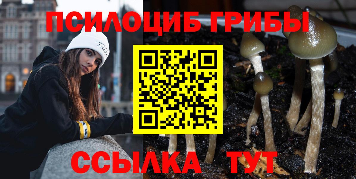 Галлюциногенные грибы ЛСД Тамбов
