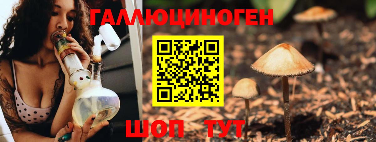 Псилоцибиновые грибы Psilocybe  Галлюциногенные грибы Psilocybe  хочу наркоту  Вход с VPN  Тамбов 